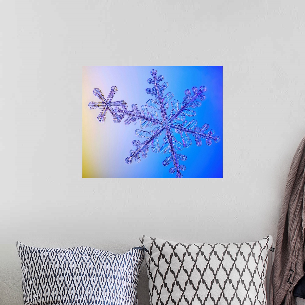 A bohemian room featuring Photomicroscopic close up of two snowflake crystals