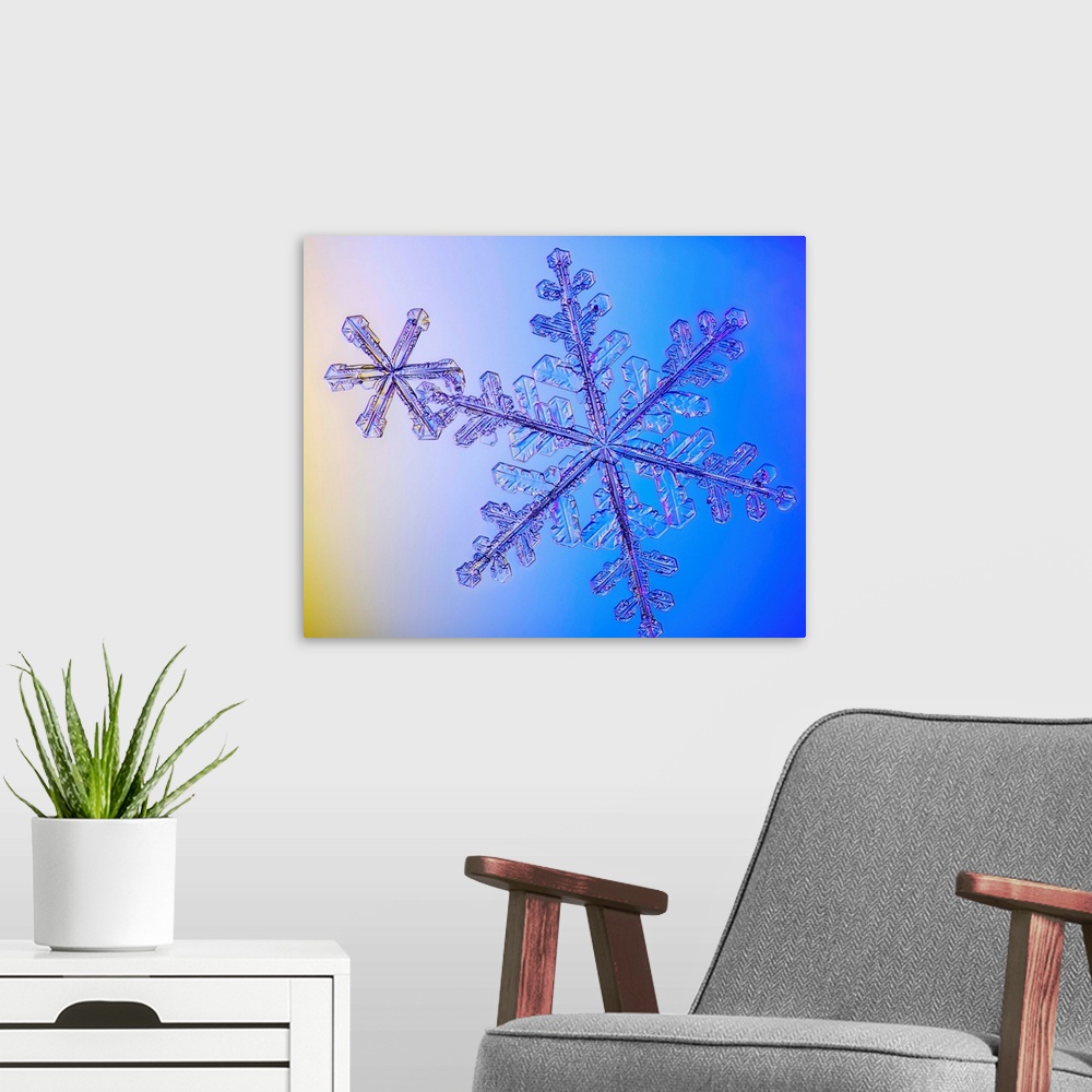 A modern room featuring Photomicroscopic close up of two snowflake crystals