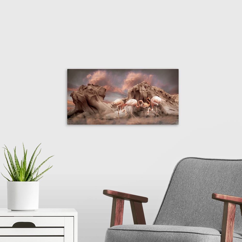 A modern room featuring Pink flamingoes stand in shallow water in front of rugged rock formations with a dramatic sky of ...