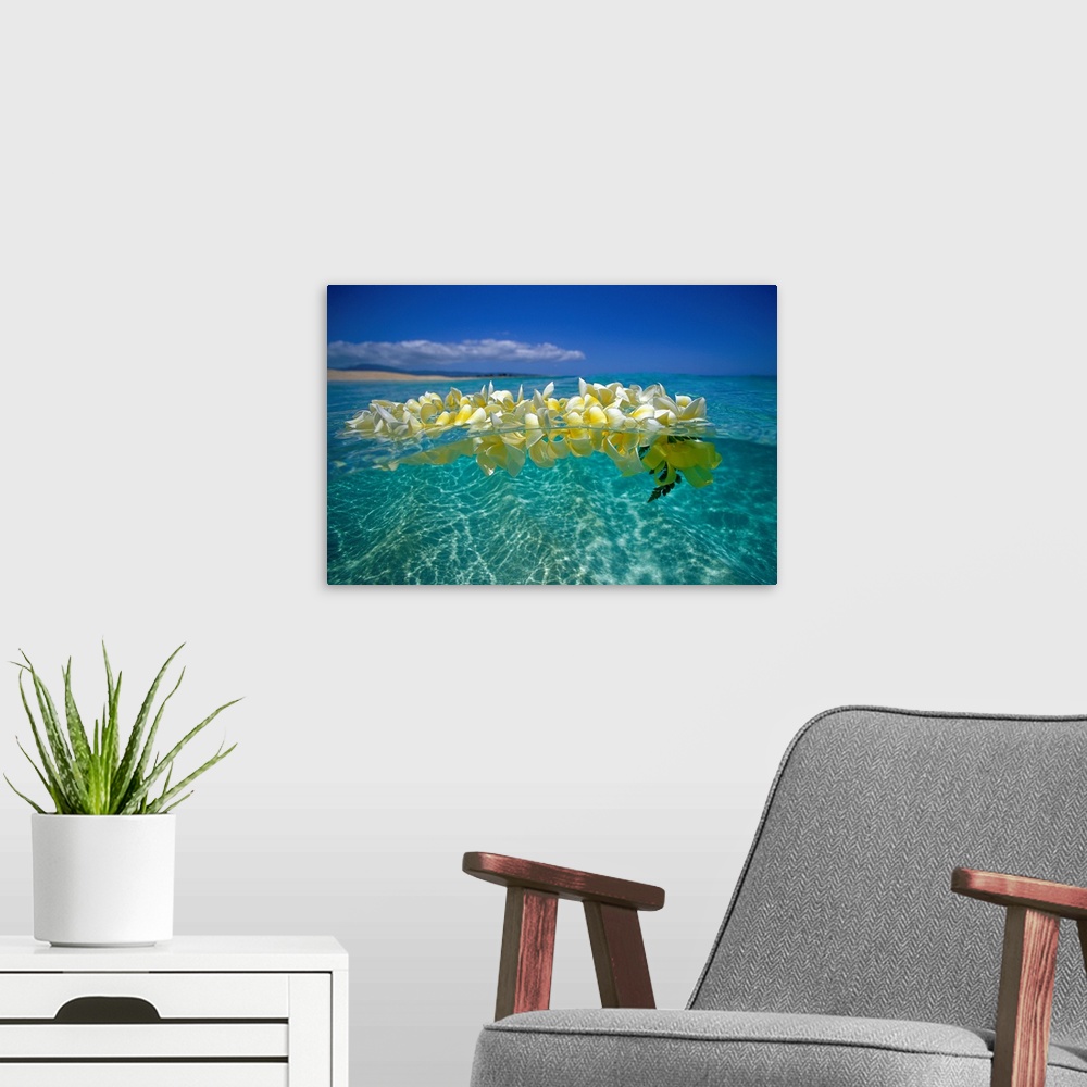 A modern room featuring Horizontal photograph on a large wall hanging of a lei of golden plumeria flowers, floating on cl...
