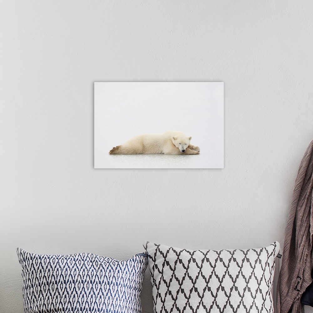 A bohemian room featuring Polar Bear