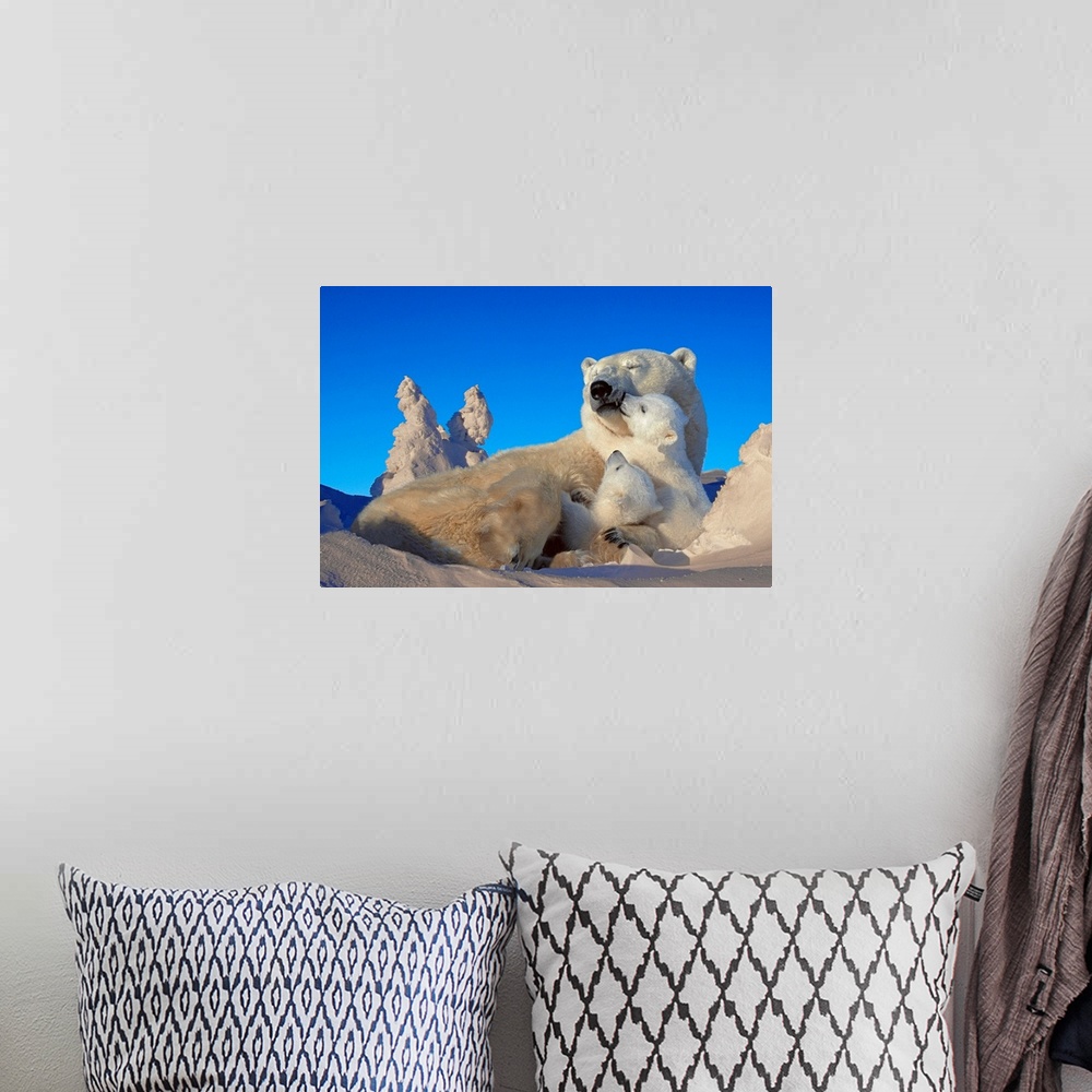 A bohemian room featuring An oversize piece that is a photograph of a polar bear with it's cubs while laying in the snow.