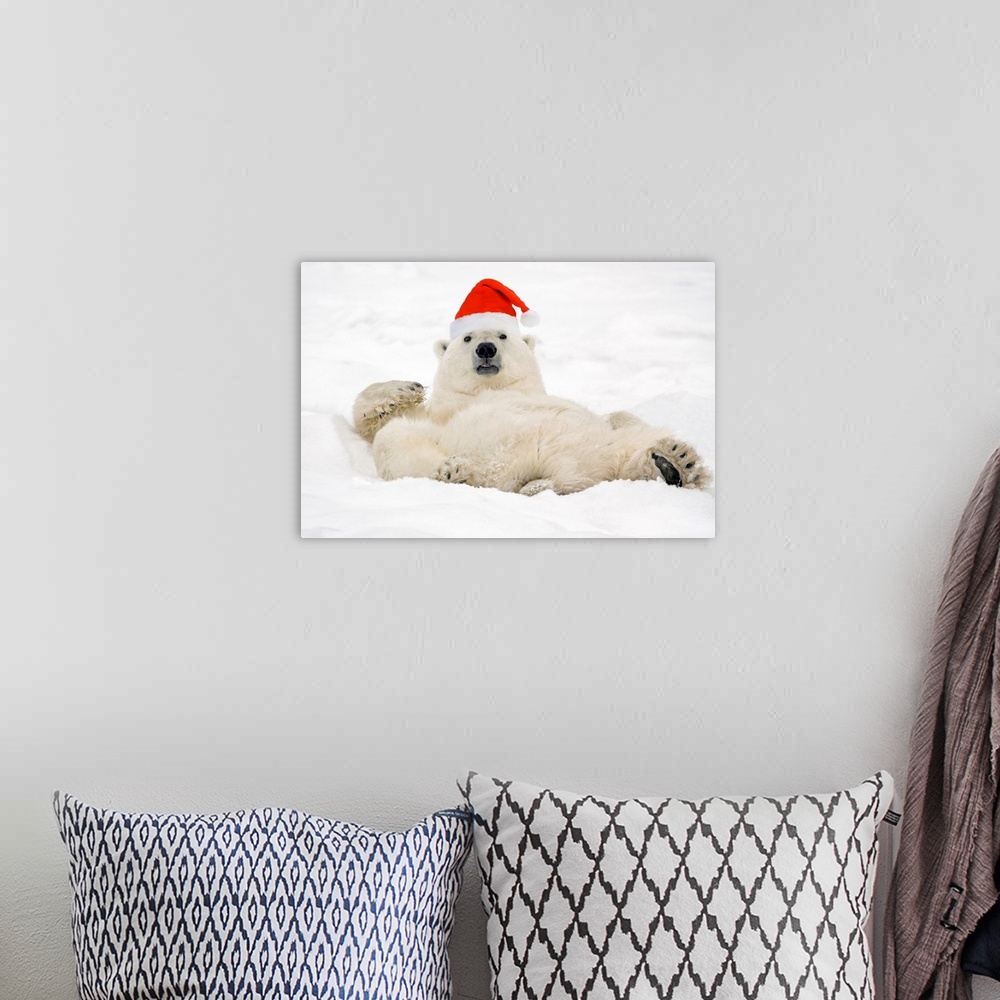 A bohemian room featuring Photograph taken of a large polar bear laying in the snow wearing a Santa hat.