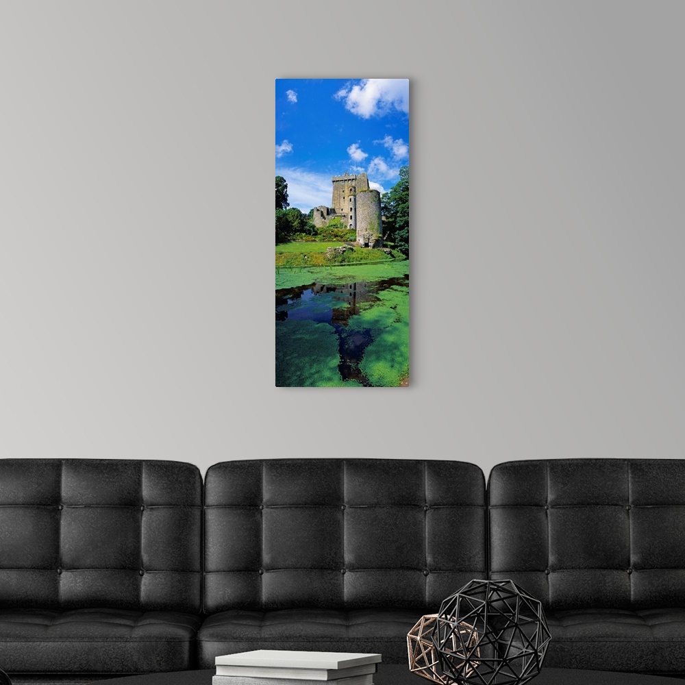 A modern room featuring Pond In Front Of A Castle, Blarney Castle, County Cork, Republic Of Ireland