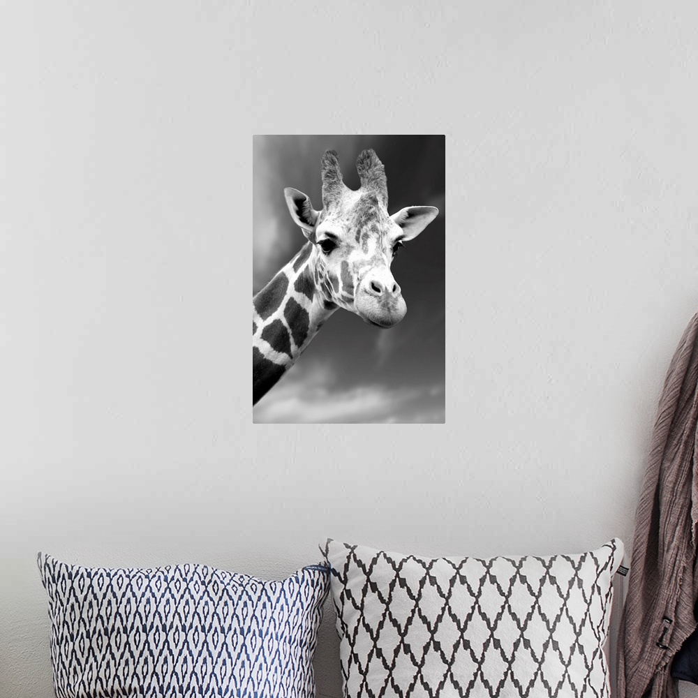 A bohemian room featuring Portrait Of A Single Giraffe