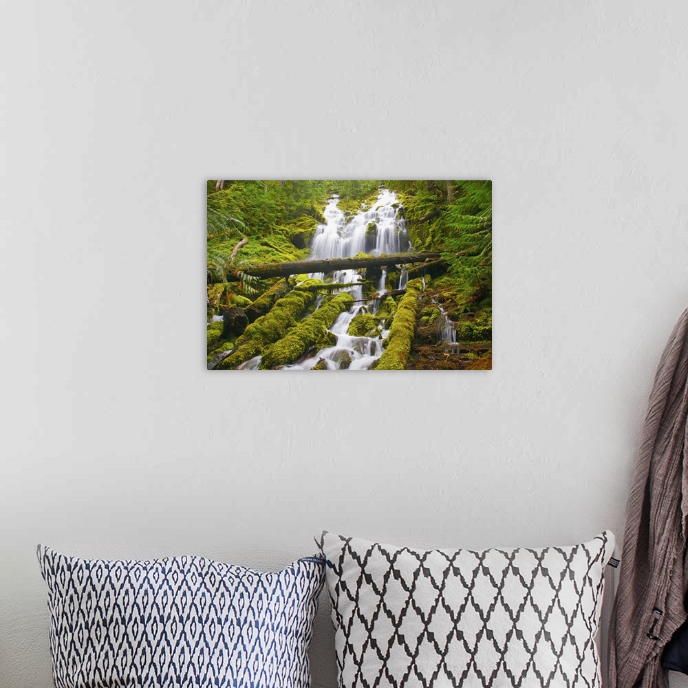 A bohemian room featuring Proxy Falls In Willamette National Forest; Oregon, USA