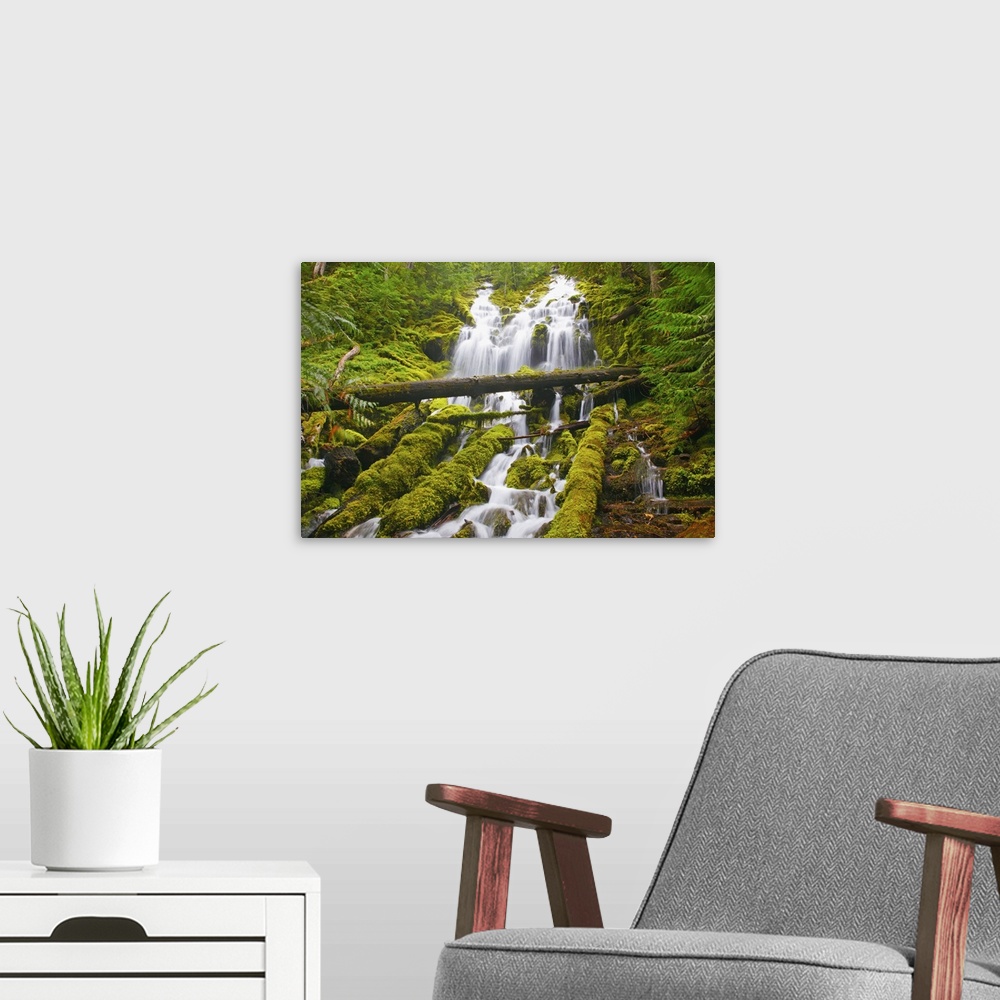 A modern room featuring Proxy Falls In Willamette National Forest; Oregon, USA