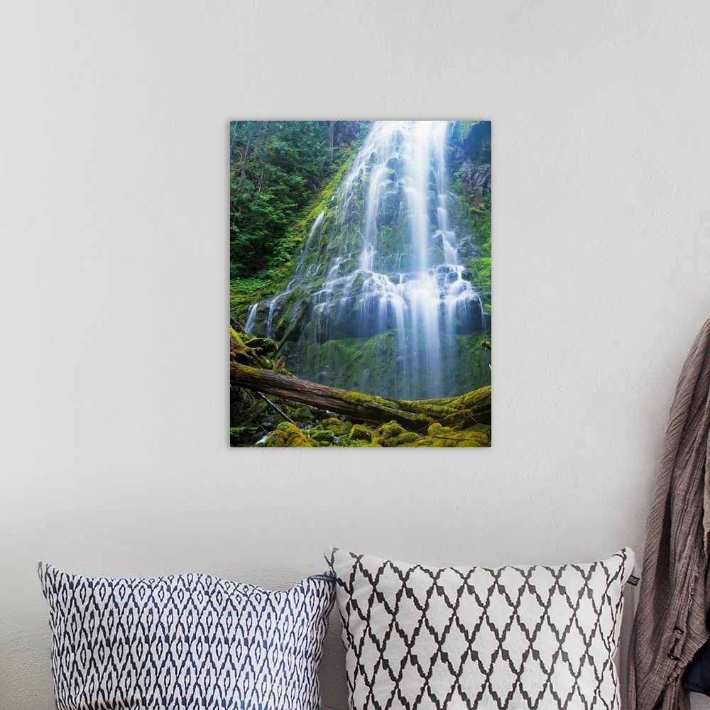 A bohemian room featuring Proxy Falls plummets down the bluffs. Sisters, Oregon, United States of America.