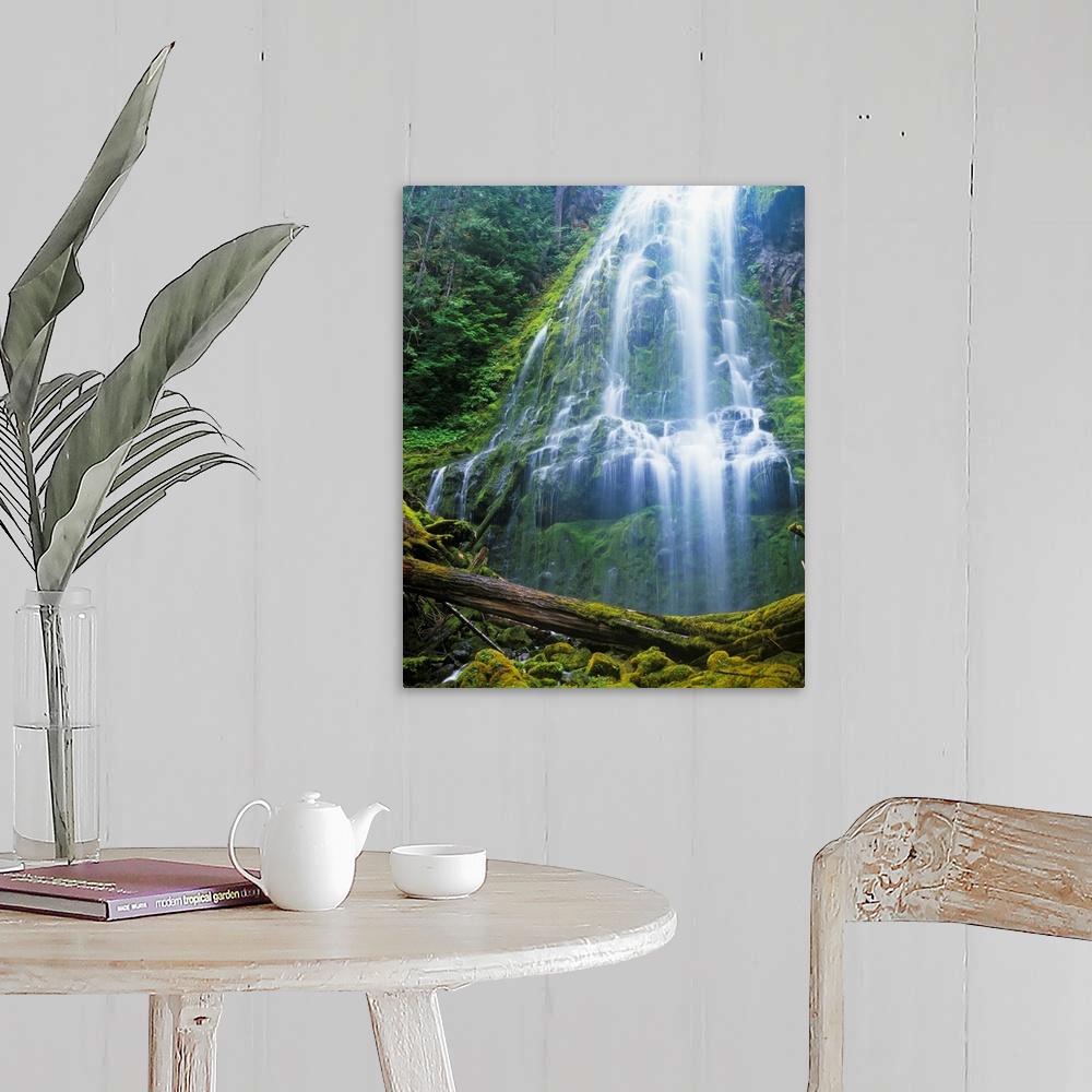 A farmhouse room featuring Proxy Falls plummets down the bluffs. Sisters, Oregon, United States of America.