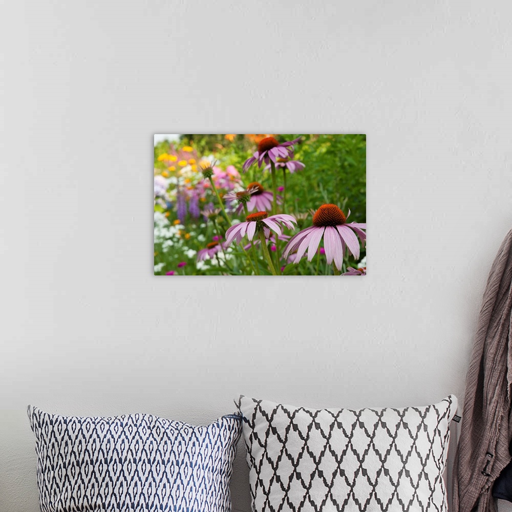 A bohemian room featuring Purple coneflower and other flowers in a Cape Cod garden.