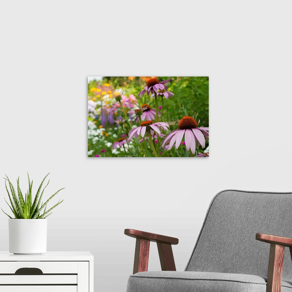 A modern room featuring Purple coneflower and other flowers in a Cape Cod garden.