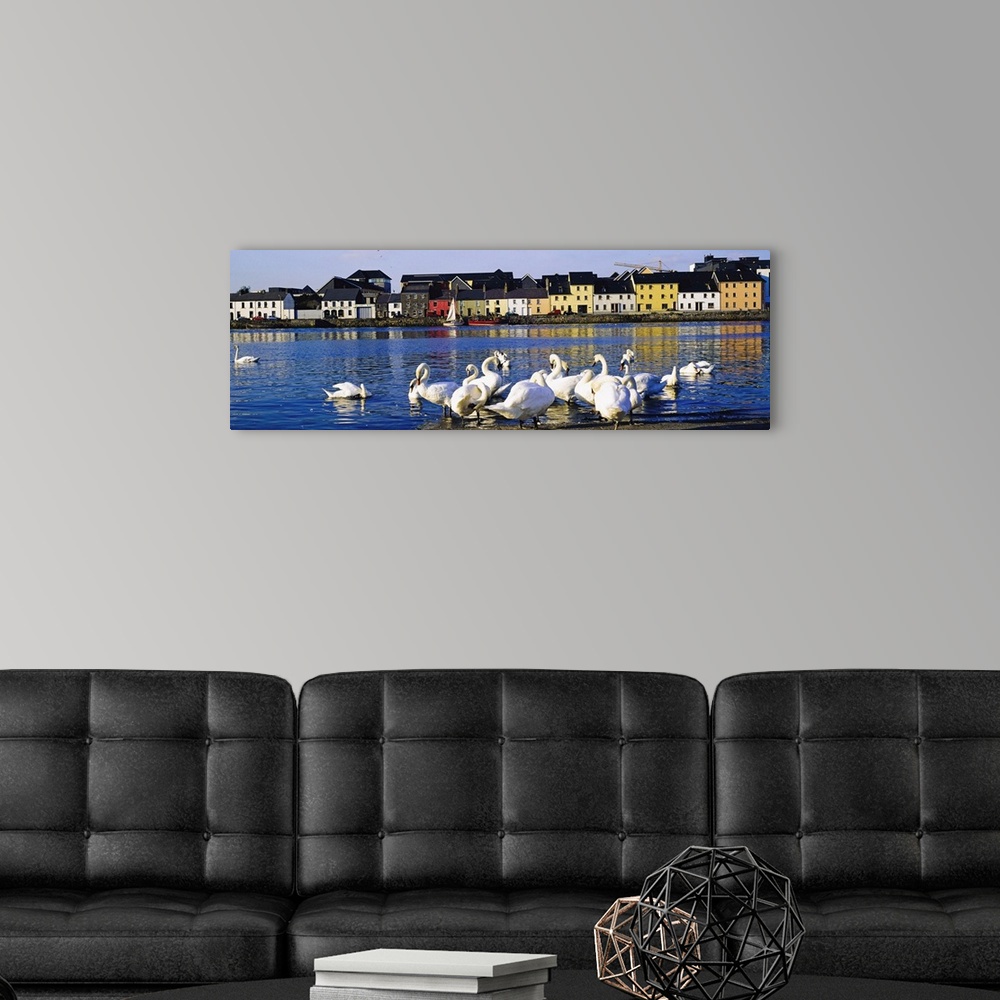 A modern room featuring Quay With Swans, Galway City, County Galway, Ireland