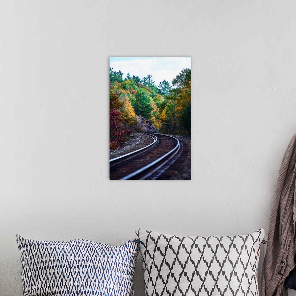 A bohemian room featuring Railroad tracks through an autumn coloured forest; Ontario, Canada
