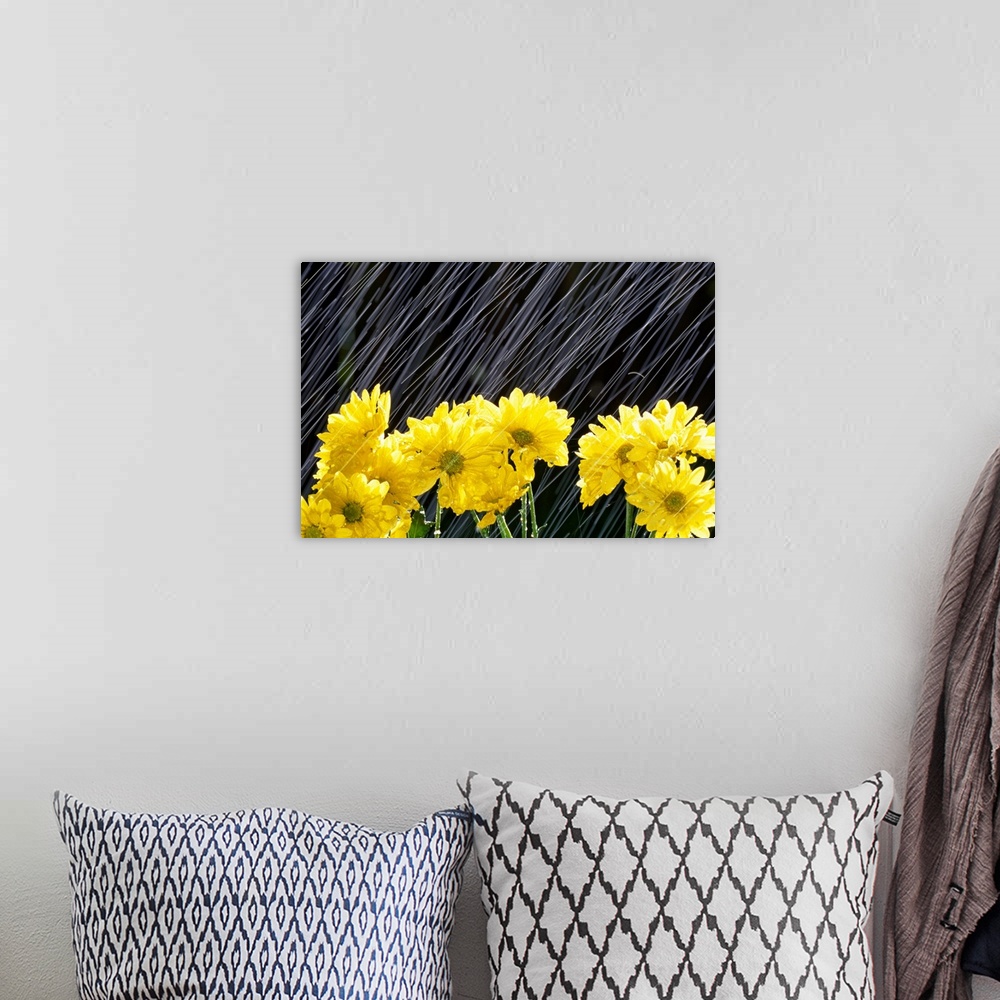 A bohemian room featuring A close up of flowers being battered by drops of water.