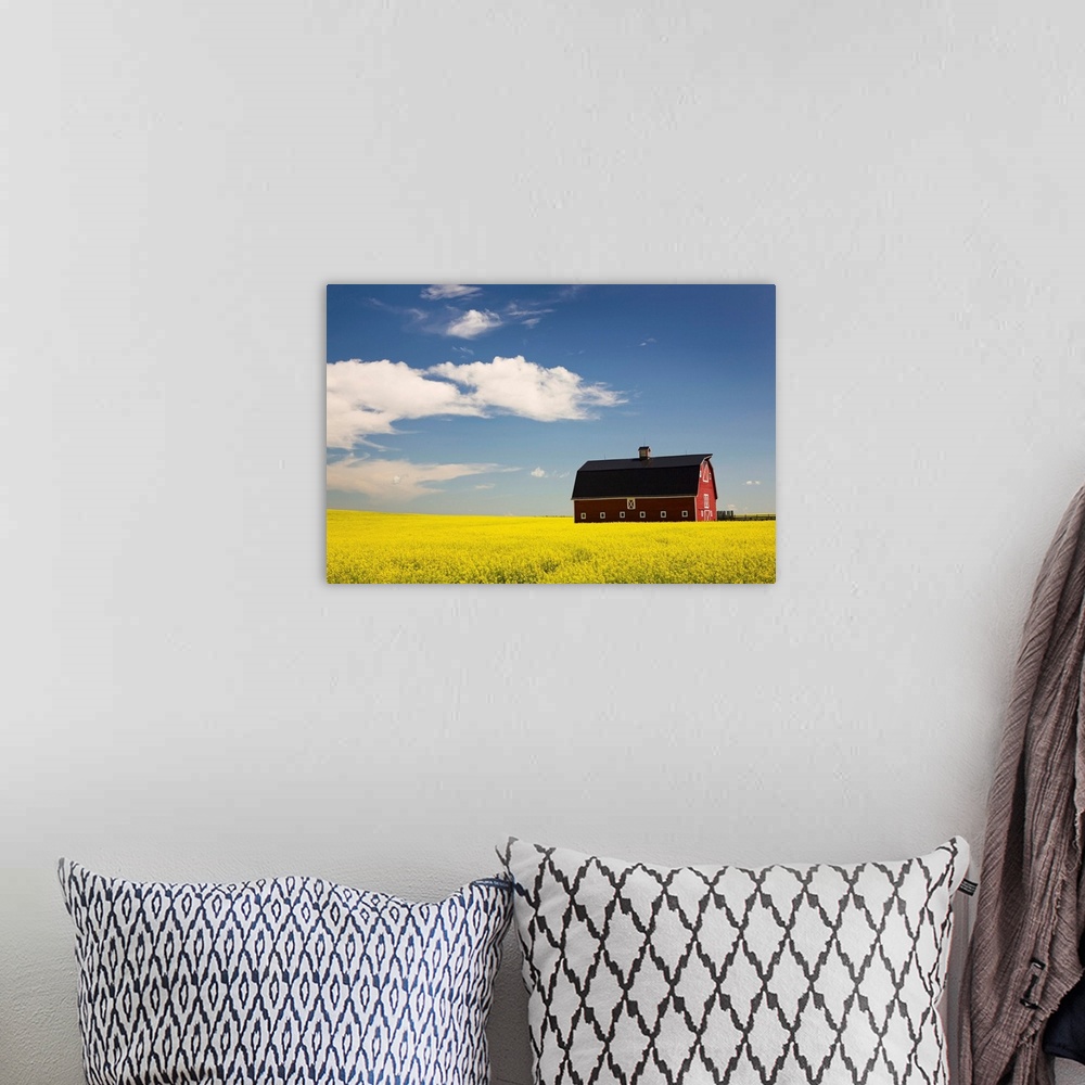 A bohemian room featuring Red Barn In A Flowering Canola Field, Alberta, Canada