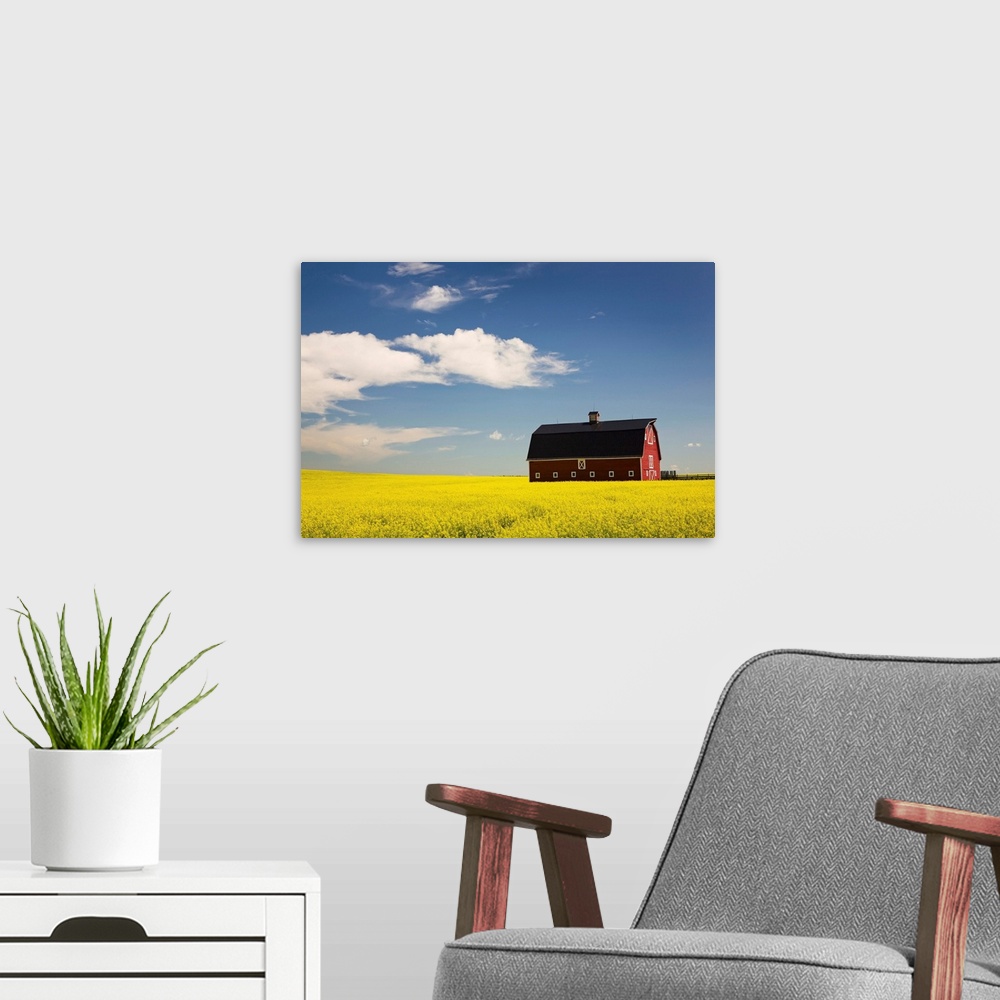 A modern room featuring Red Barn In A Flowering Canola Field, Alberta, Canada