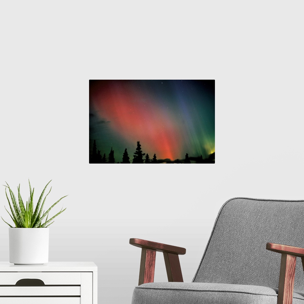 A modern room featuring A forest of pine trees is silhouetted against the glowing aurora borealis in the Arctic sky. A fe...
