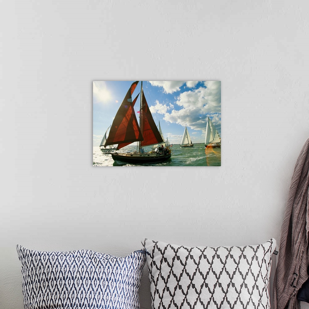 A bohemian room featuring Red-sailed sailboat and others in a race on the Chesapeake Bay.