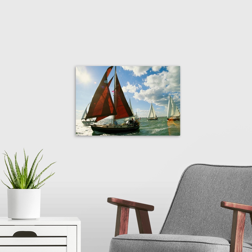 A modern room featuring Red-sailed sailboat and others in a race on the Chesapeake Bay.