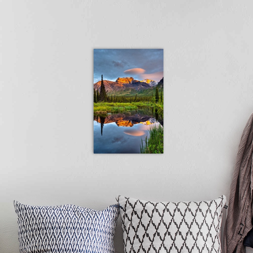 A bohemian room featuring Reflection Of Skookum Volcano In A Pond, Wrangell St. Ellias National Park, Alaska