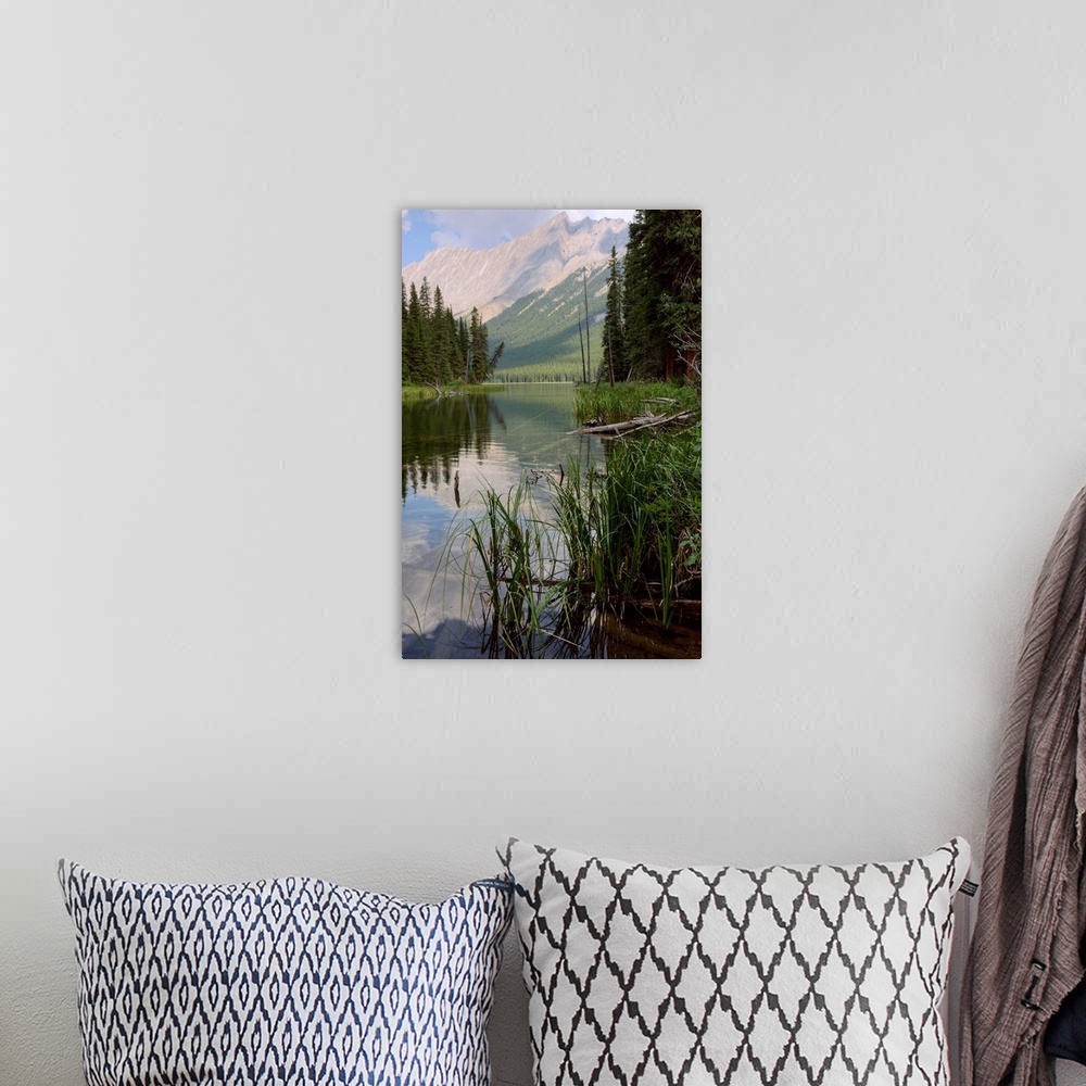 A bohemian room featuring Reflections On Beaver Lake, Jasper National Park, Alberta, Canada