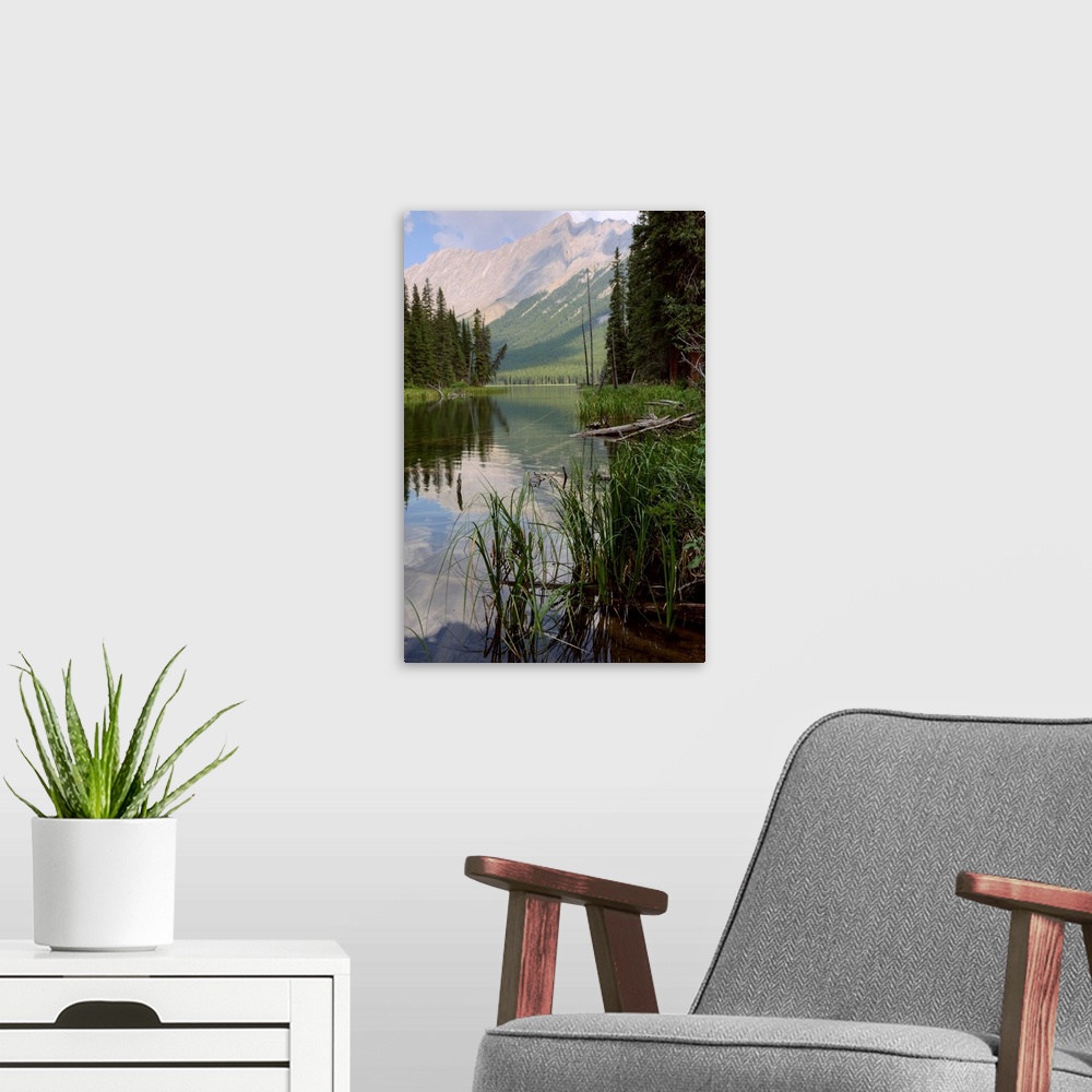 A modern room featuring Reflections On Beaver Lake, Jasper National Park, Alberta, Canada
