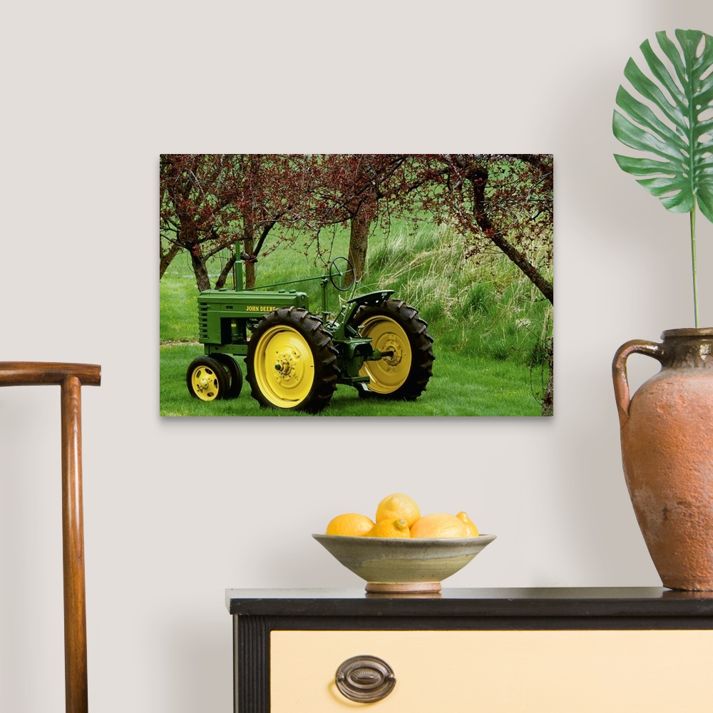 A traditional room featuring Restored 1940 John Deere model tractor