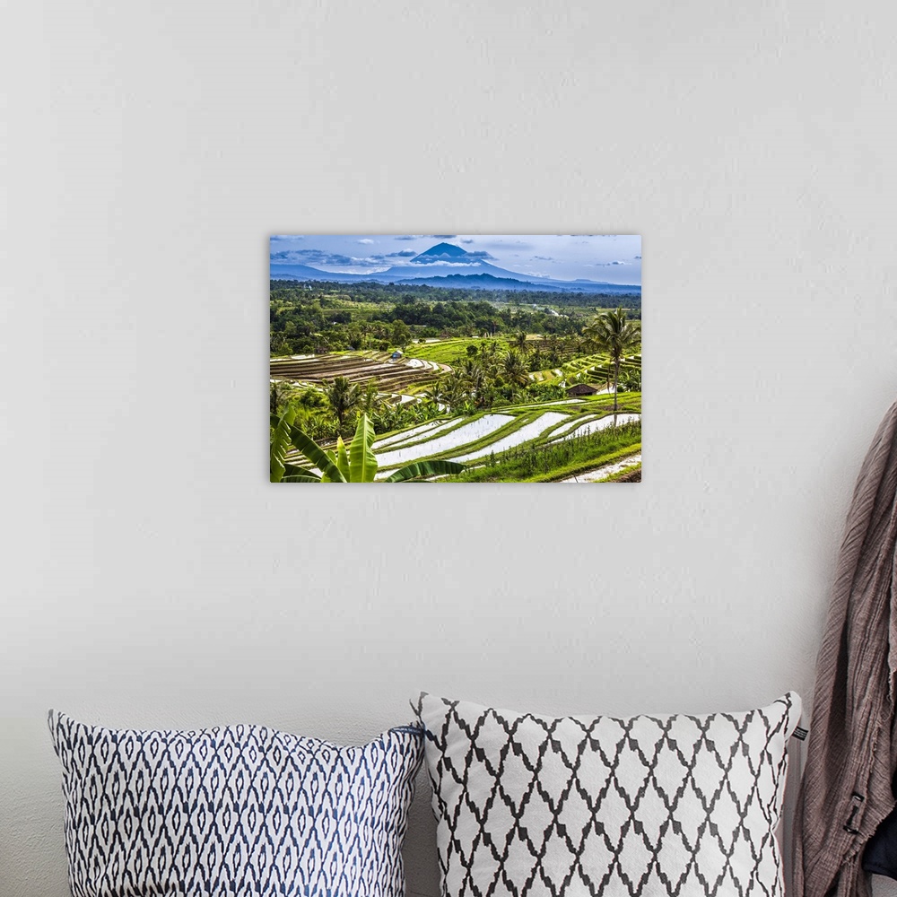 A bohemian room featuring Rice Terraces with Gunung Agung in the background, Jatiluwih, Bali, Indonesia