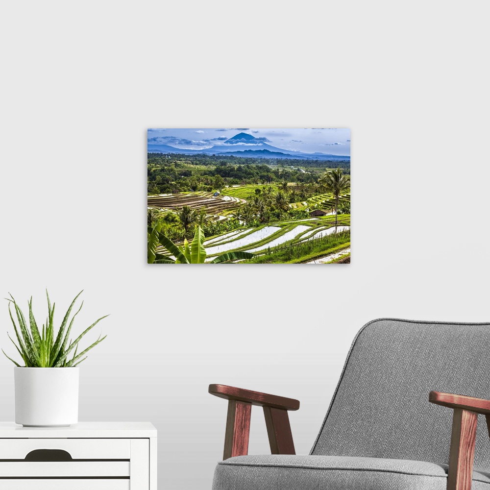 A modern room featuring Rice Terraces with Gunung Agung in the background, Jatiluwih, Bali, Indonesia