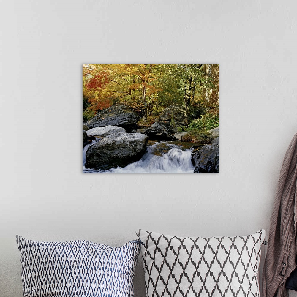 A bohemian room featuring River In Autumn