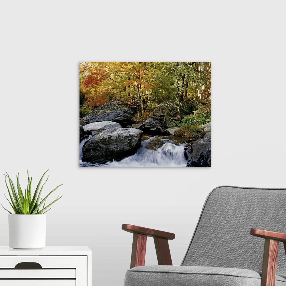 A modern room featuring River In Autumn