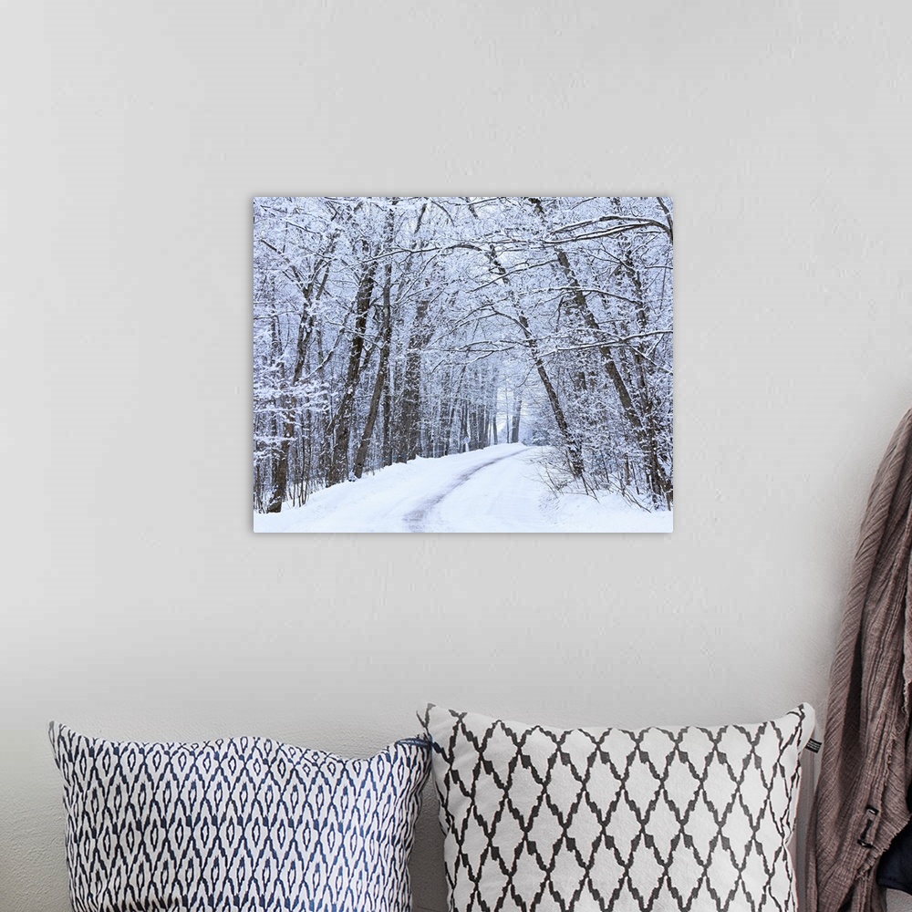 A bohemian room featuring Road Across Snow-Covered Forest, Saint-Adrien-D'irlande, Quebec, Canada