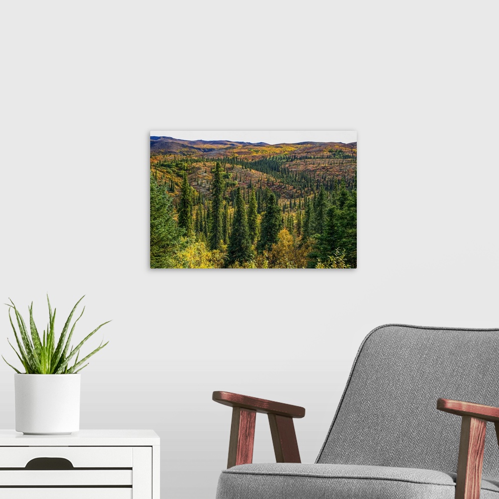 A modern room featuring Rolling hillsides of autumn tundra where moose can be found roaming, Denali National Park and Pre...