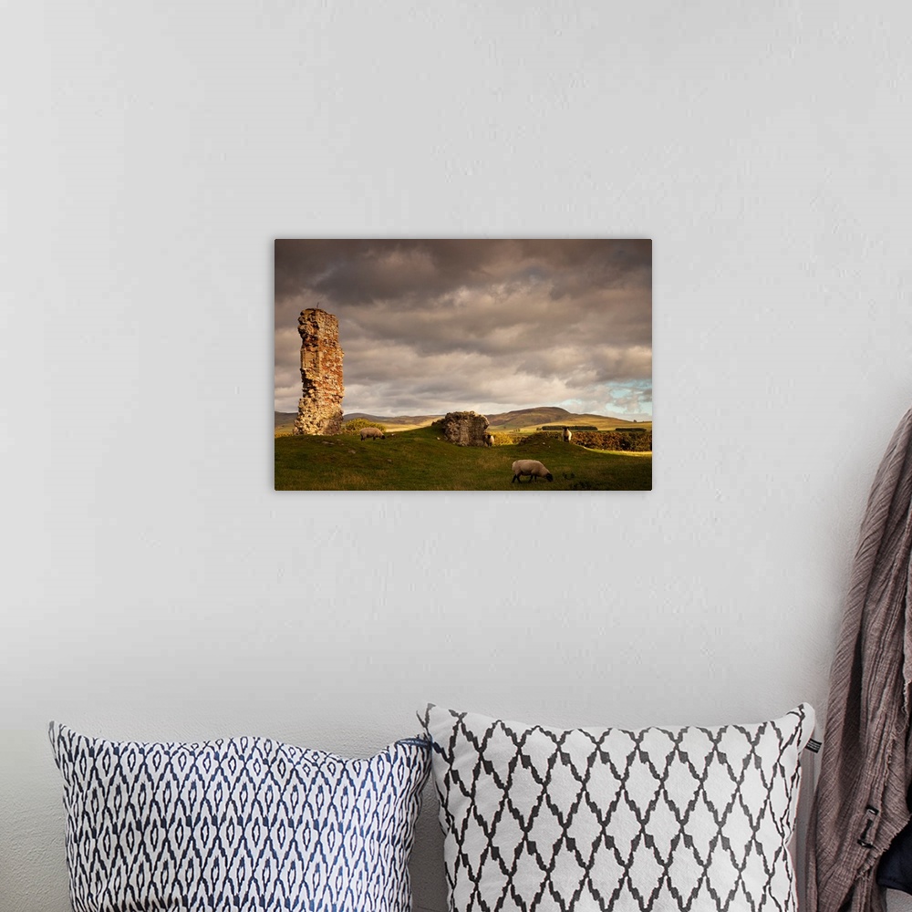 A bohemian room featuring Ruins of Cessford castle with sheep grazing in the field, Scottish borders, Scotland.