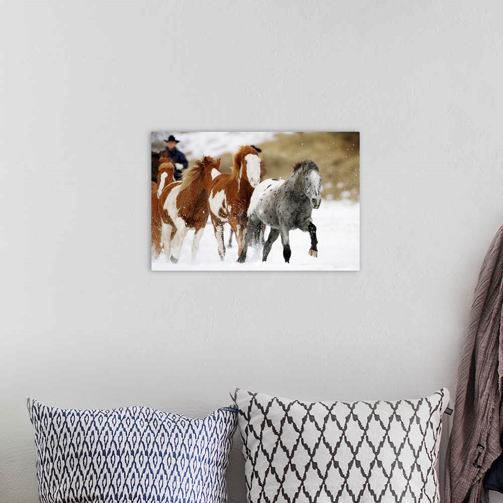 A bohemian room featuring Running Horses