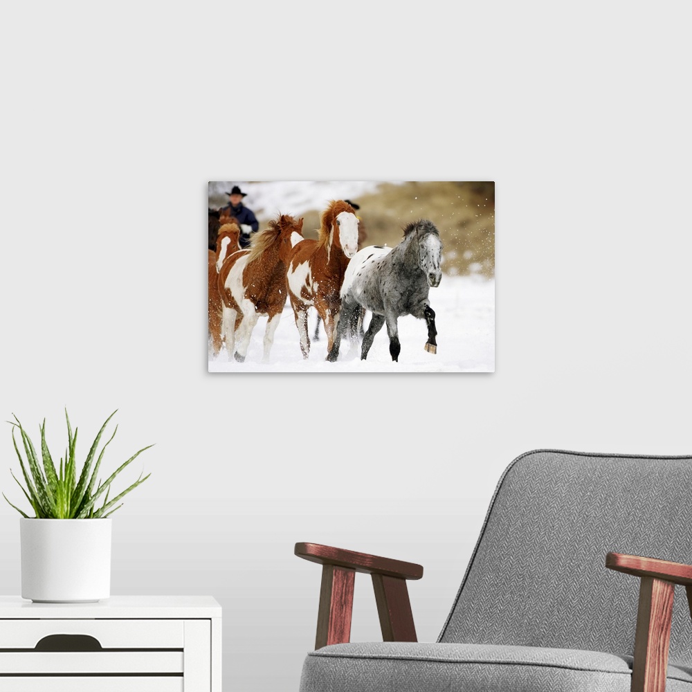 A modern room featuring Running Horses