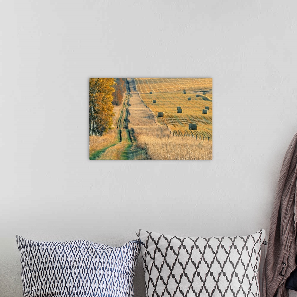 A bohemian room featuring Rural Road And Hay Field, Fall Harvest Near Cremona, Alberta, Canada