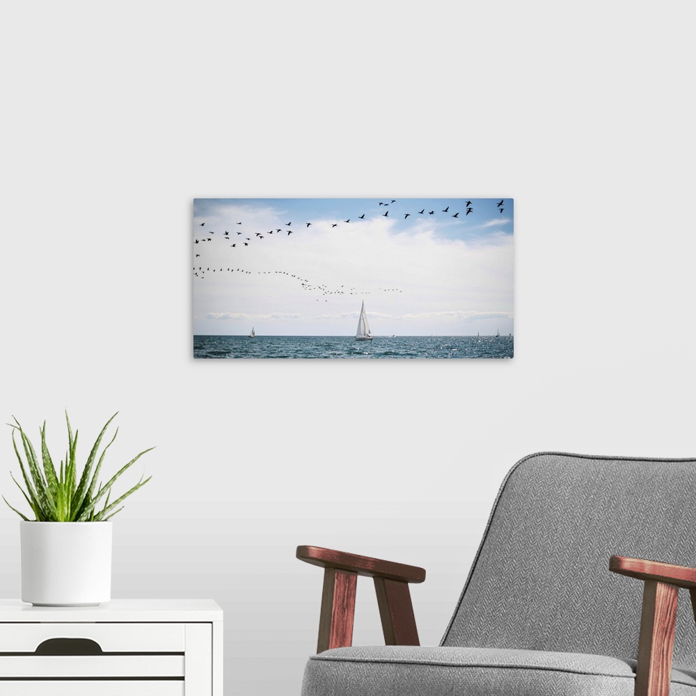 A modern room featuring Sailboats cruise the waters of Lake Ontario as a flock of water birds take to the air, Toronto, O...