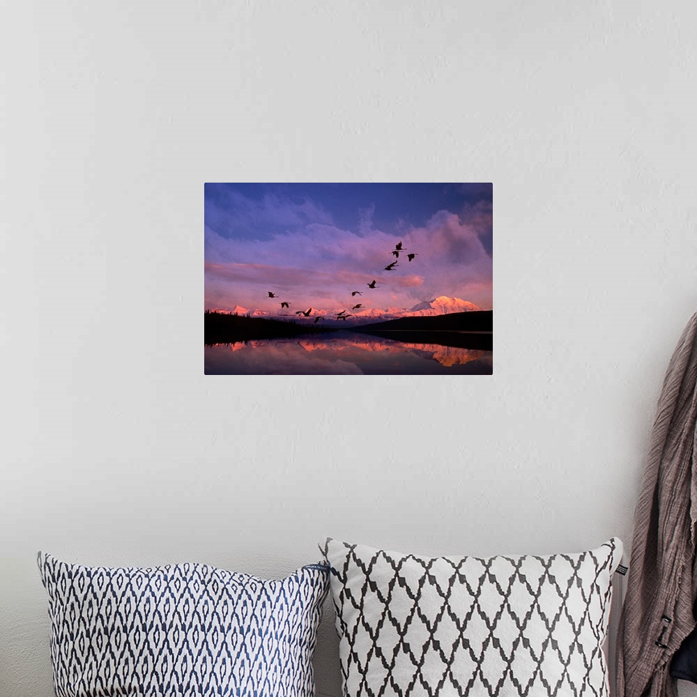A bohemian room featuring Sandhill cranes flying past Mt McKinley Sunset Alaska & Wonder Lake Summer Composite