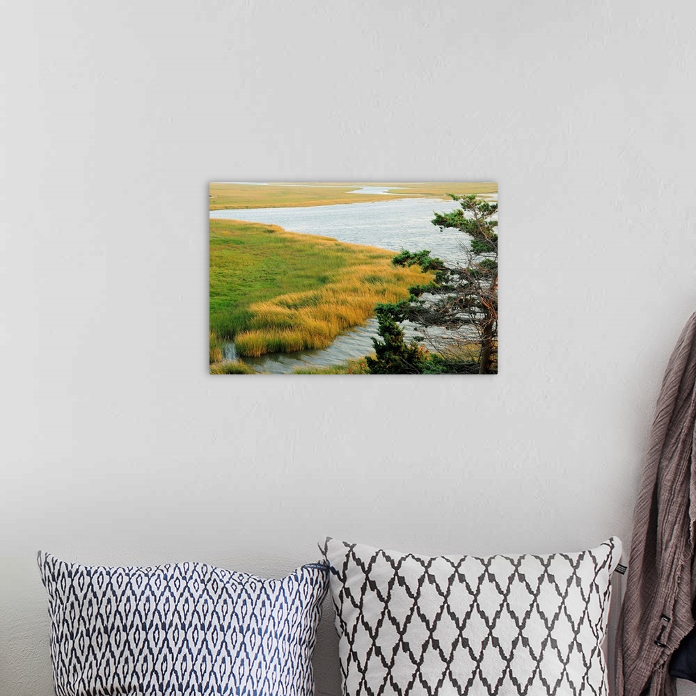 A bohemian room featuring Scenic view of a salt marsh in the Cape Cod National Seashore.
