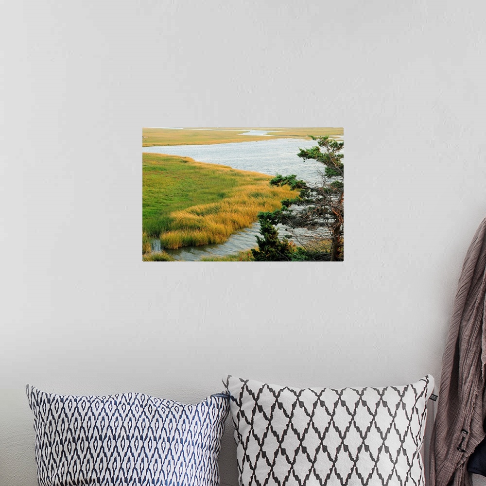 A bohemian room featuring Scenic view of a salt marsh in the Cape Cod National Seashore.