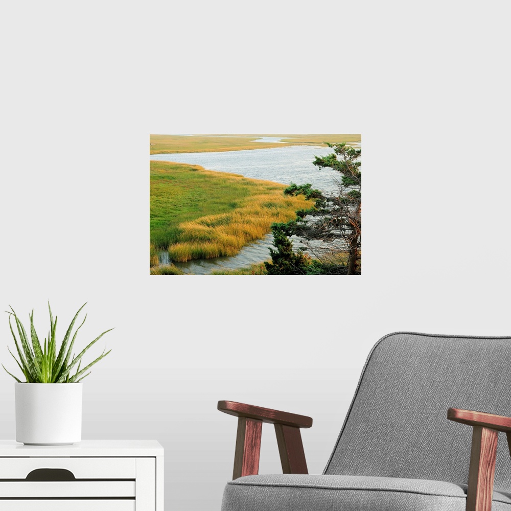 A modern room featuring Scenic view of a salt marsh in the Cape Cod National Seashore.
