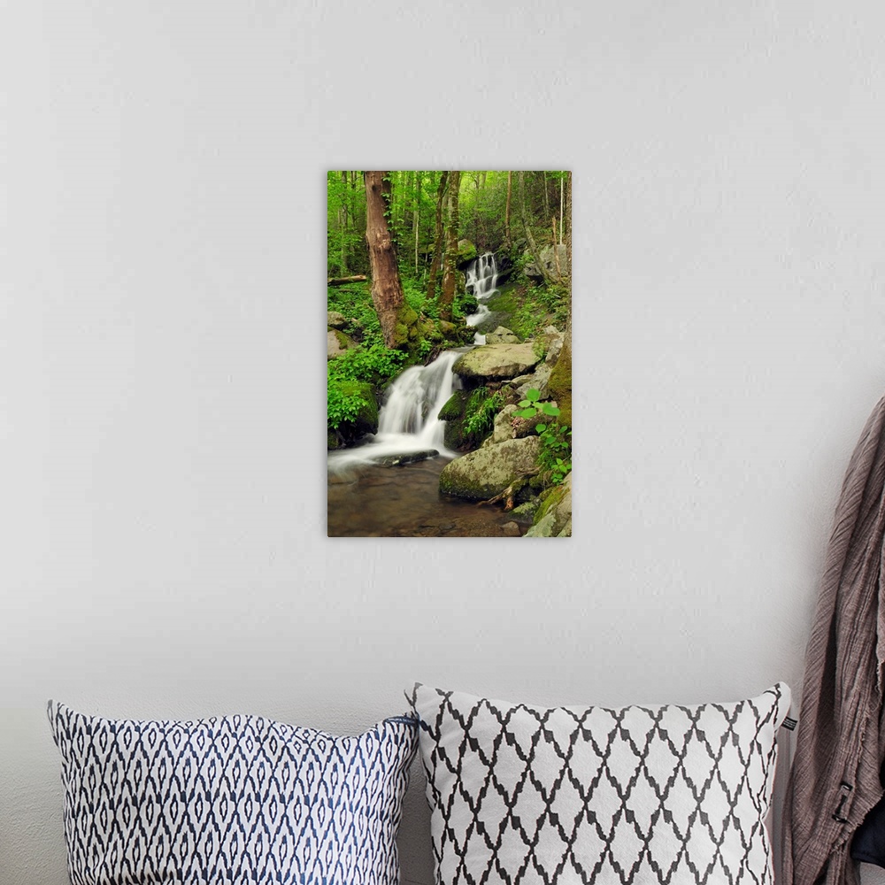 A bohemian room featuring Scenic view of a Smoky Mountains waterfall and forest.
