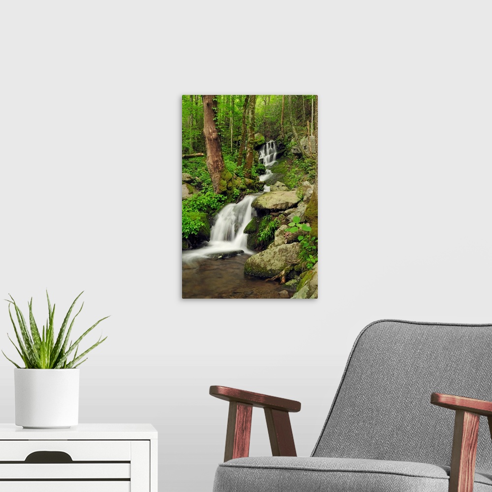 A modern room featuring Scenic view of a Smoky Mountains waterfall and forest.