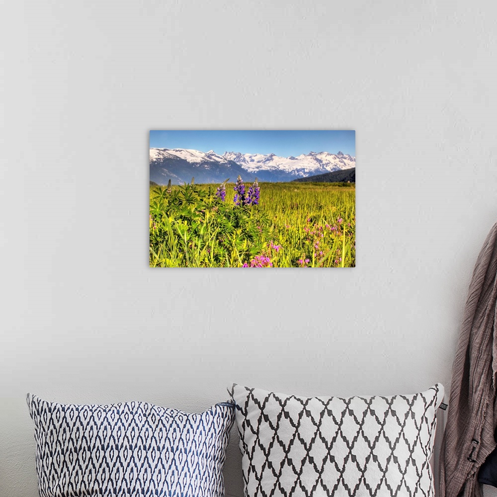 A bohemian room featuring Scenic view of a wildflower meadow and mountains near Haines, Alaska during Summer