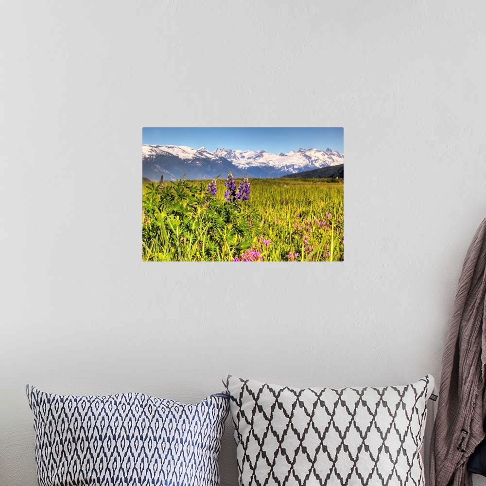 A bohemian room featuring Scenic view of a wildflower meadow and mountains near Haines, Alaska during Summer
