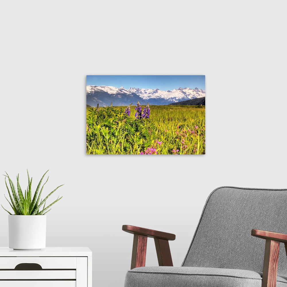 A modern room featuring Scenic view of a wildflower meadow and mountains near Haines, Alaska during Summer