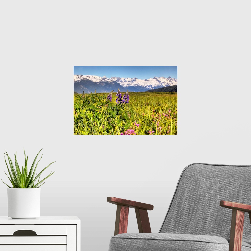 A modern room featuring Scenic view of a wildflower meadow and mountains near Haines, Alaska during Summer
