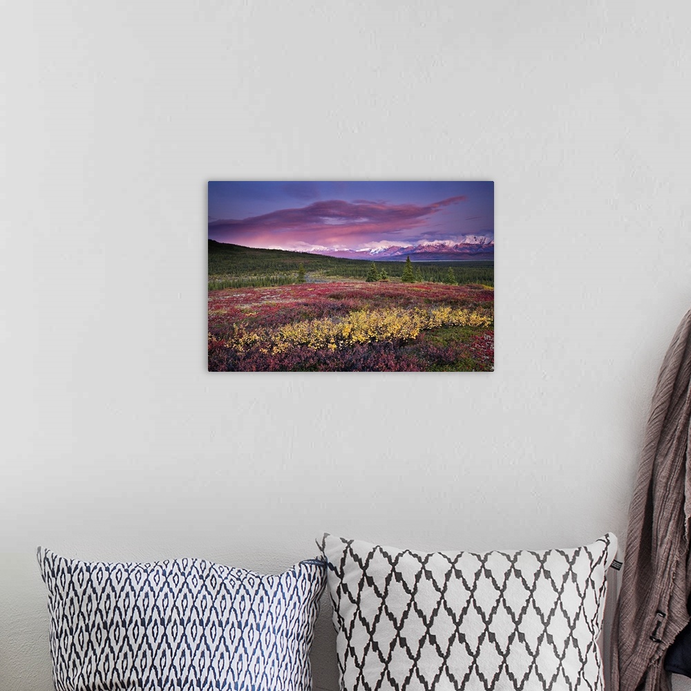 A bohemian room featuring Scenic View Of Alpine Tundra With Alaska Range In The Background With Alpenglow At Sunset In Dena...