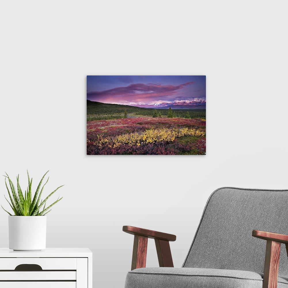 A modern room featuring Scenic View Of Alpine Tundra With Alaska Range In The Background With Alpenglow At Sunset In Dena...